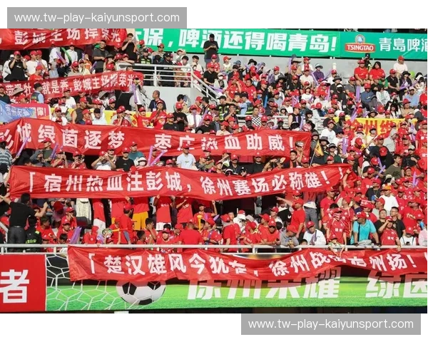 走进苏超：草根热血与现代魅力的交响